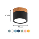 Cylinder Small Flush Ceiling Lights